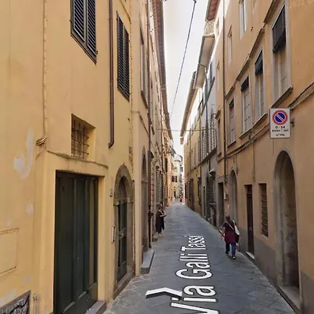 Gallitassi Di Lucus *